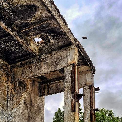 Photo #11195969