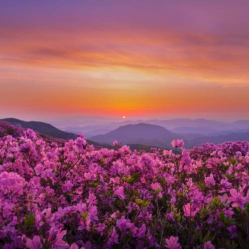 Фотография #11196247