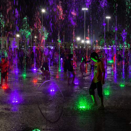 Photo #11196322