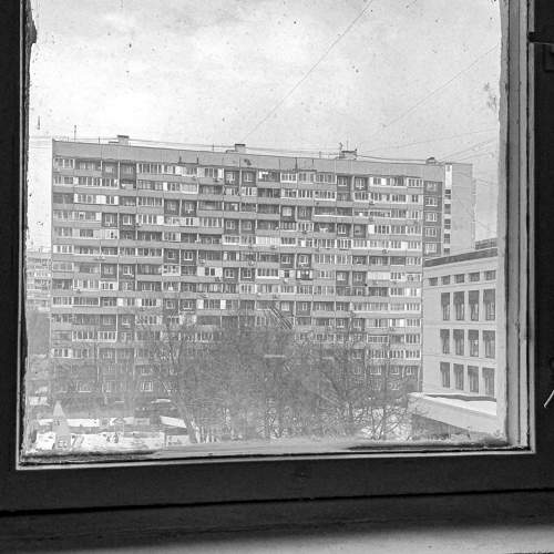 Photo #11196332
