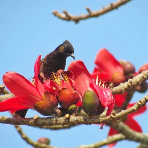 Photo #11196507