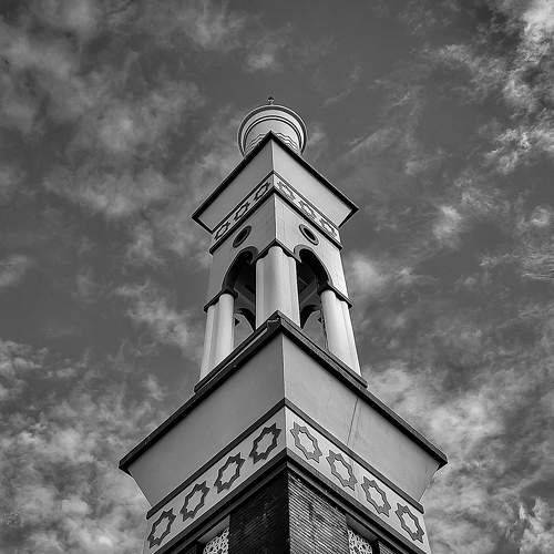 Photo #11196540