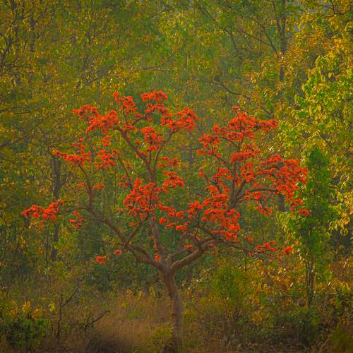 Photo #11196657