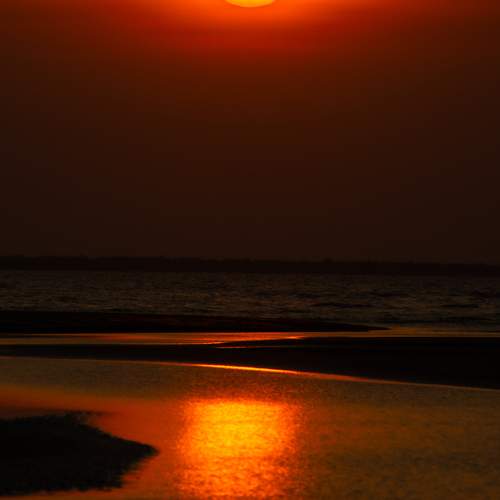 Photo #11196666