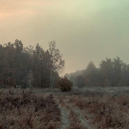 Photo #11196965