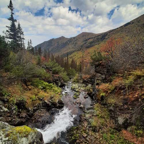 Photo #11197159