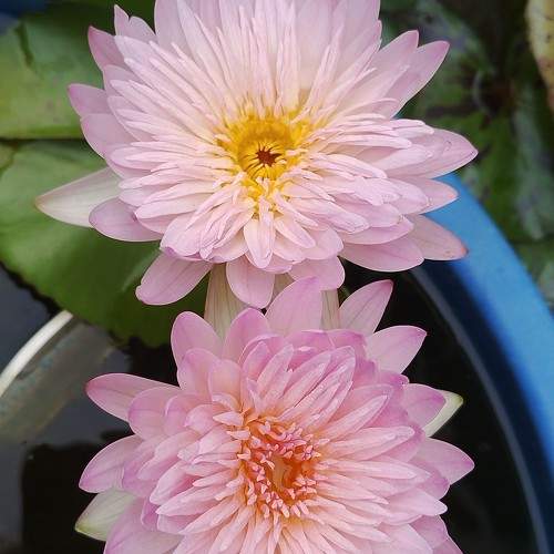 Photo #11197337
