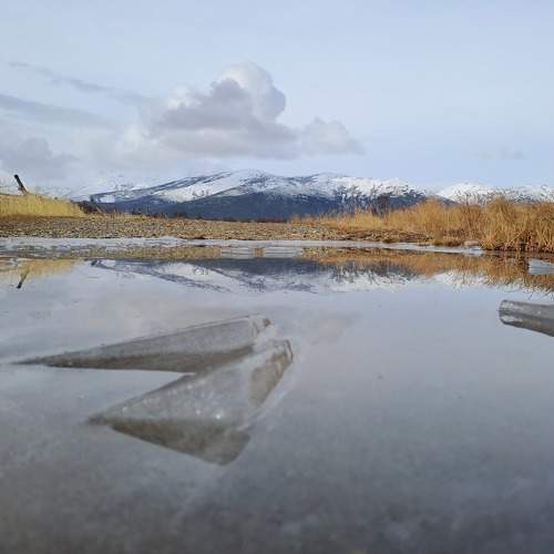 Photo #11197339