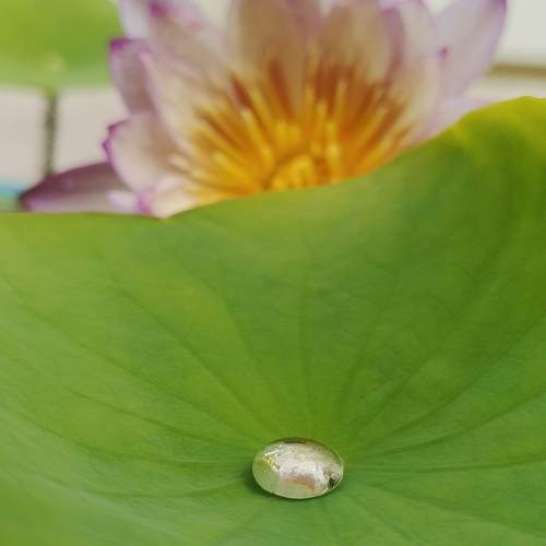 Photo #11197349