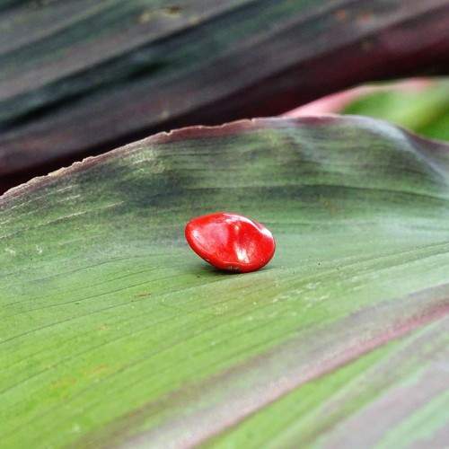 Photo #11197559
