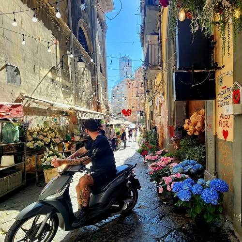 Photo #11197677