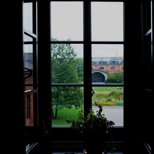 Photo #11197787