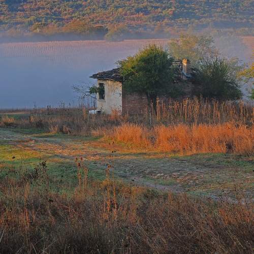 Photo #11197821
