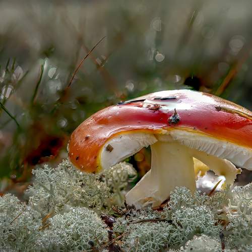 Photo #11197957