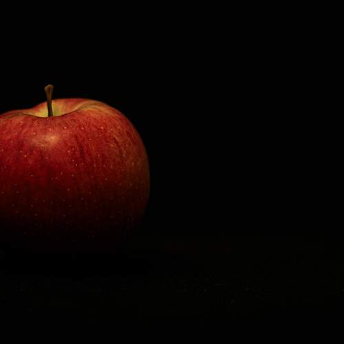 Photo #11198355