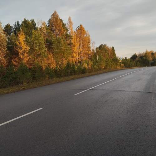 Photo #11198804