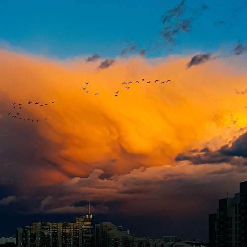 Photo #11198838