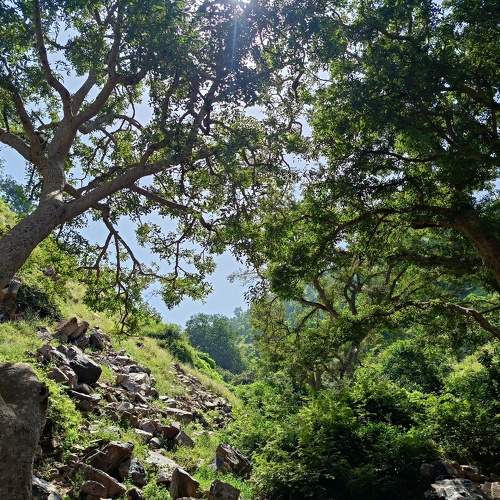 Photo #11198853