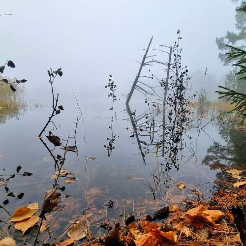 Photo #11198991