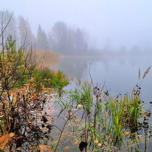 Photo #11198998