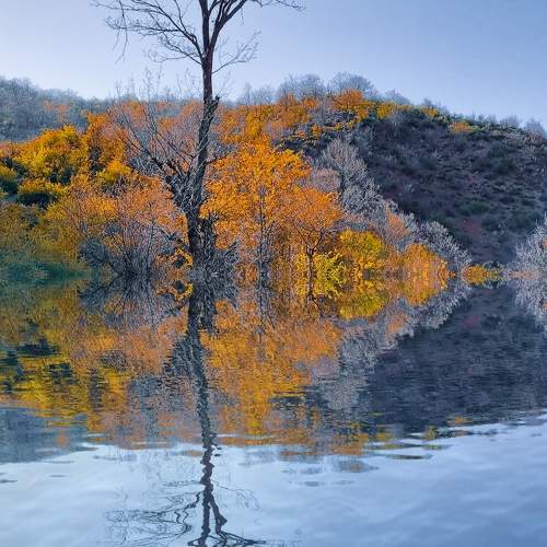 Photo #11199158