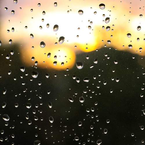 Photo #11199304