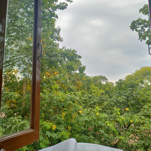 Photo #11199649