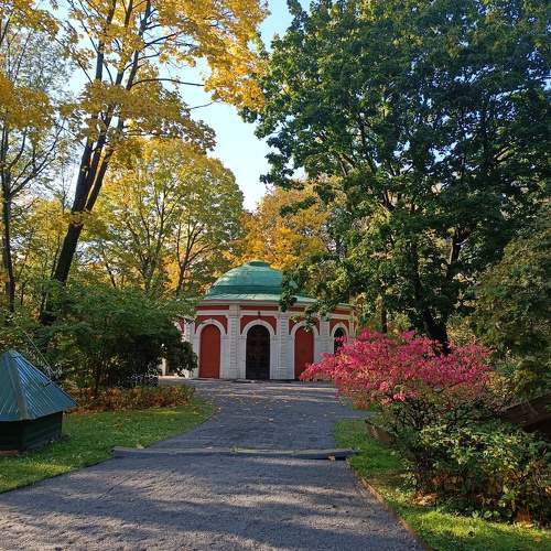Photo #11199740