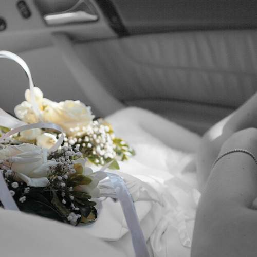 Photo #11199869