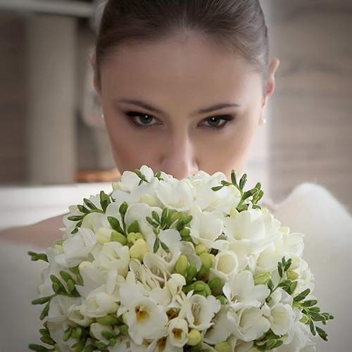 Photo #11199882