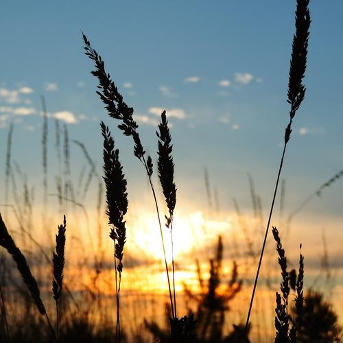 Photo #1121389