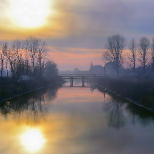 Photo #1123055