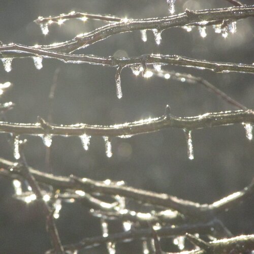 Photo #1123706