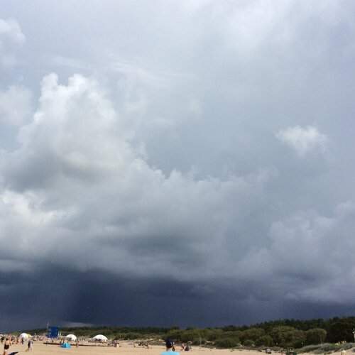 Photo #1123913