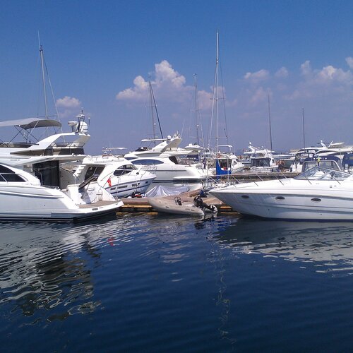 Photo #1123918