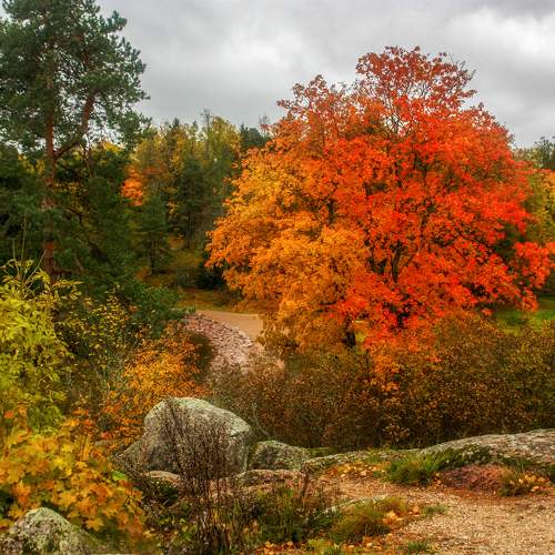 Photo #11200271