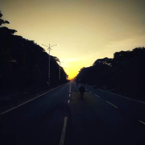 Photo #11200547