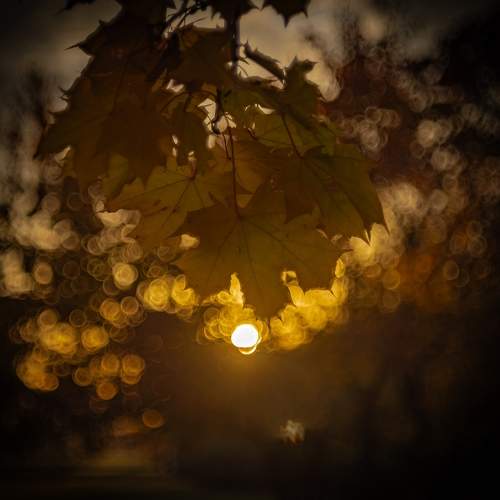 Photo #11200599