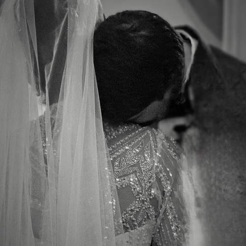Photo #11200620