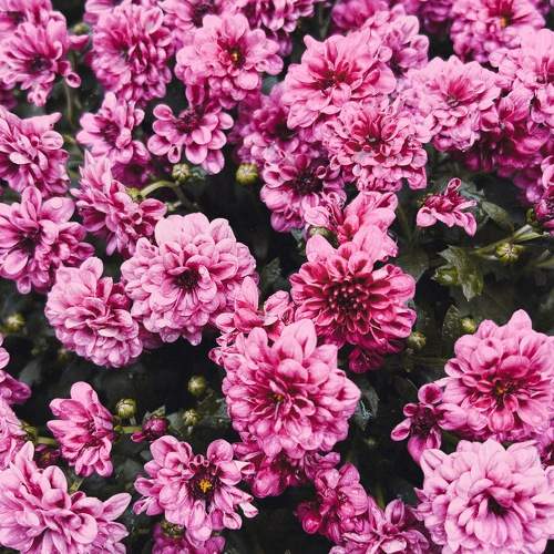 Photo #11200904