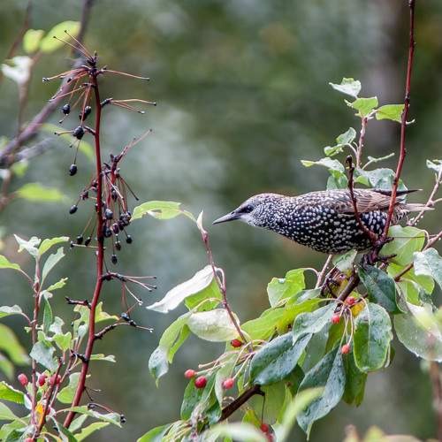 Photo #11201203