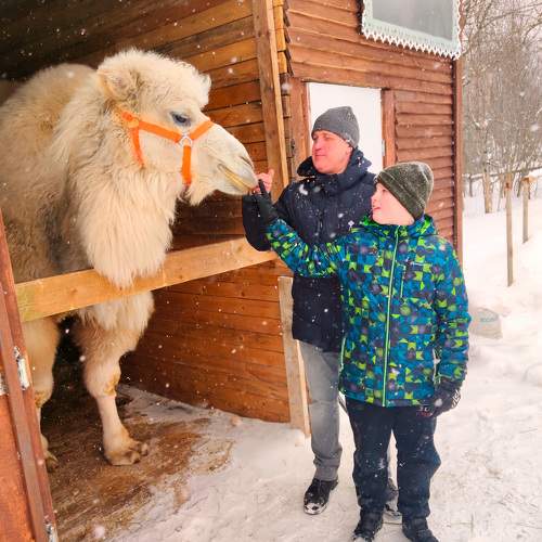 В гостях у верблюда Васи