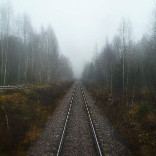 Photo #11201400