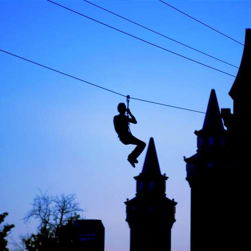 Photo #11201698