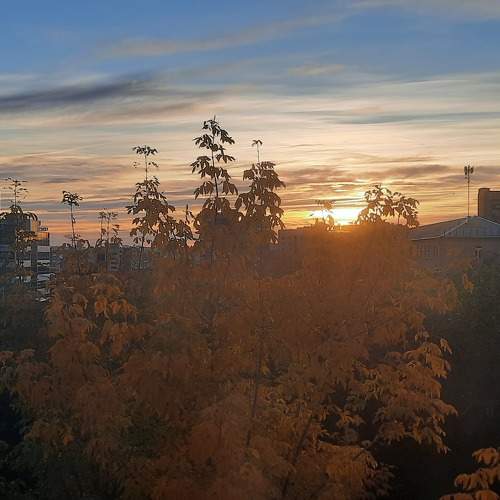 Photo #11201705