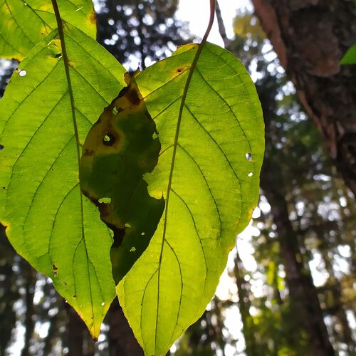 Photo #11201855
