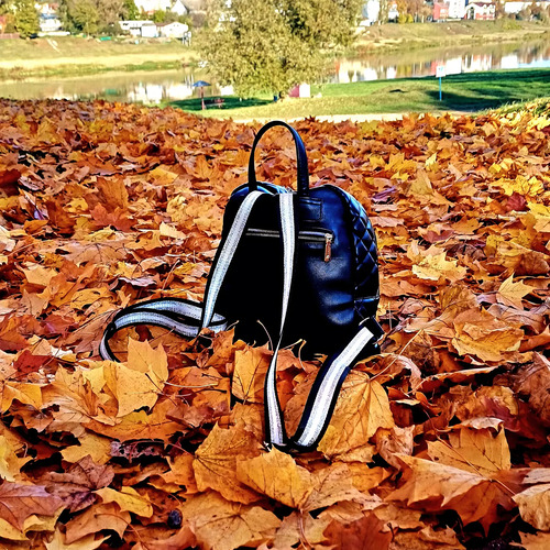 Photo #11202037