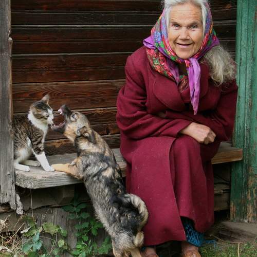 Photo #11202136
