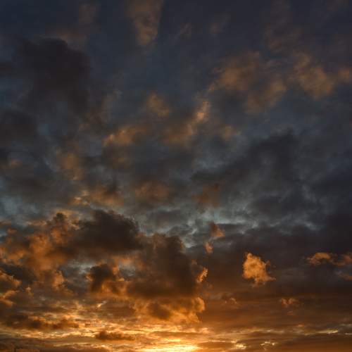 Photo #11202292
