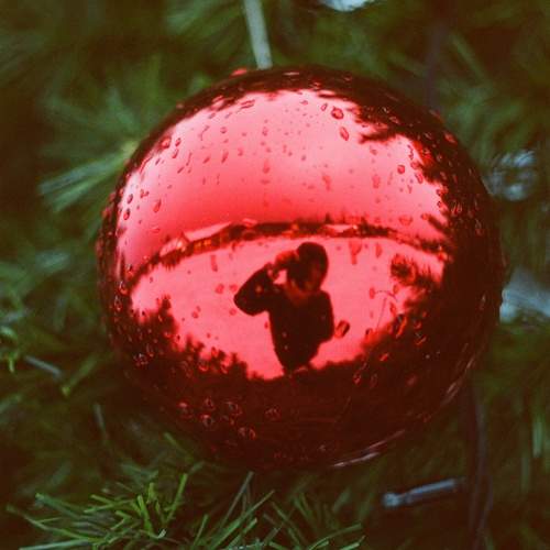 Photo #11202629